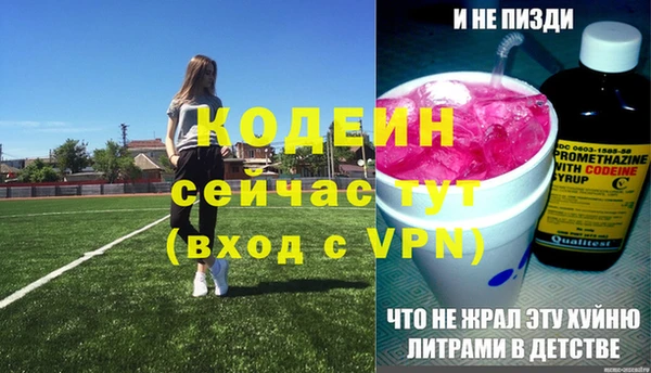 метамфетамин Ельня