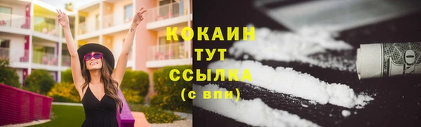 ешки Елизово