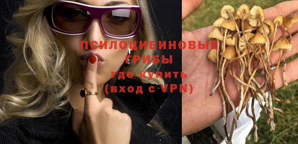 метамфетамин Ельня