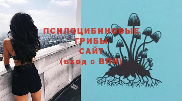 MDMA Елабуга