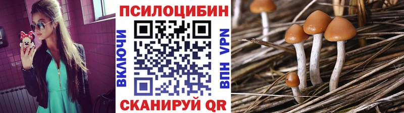 Купить закладки Осинники Псилоцибиновые грибы ЛСД